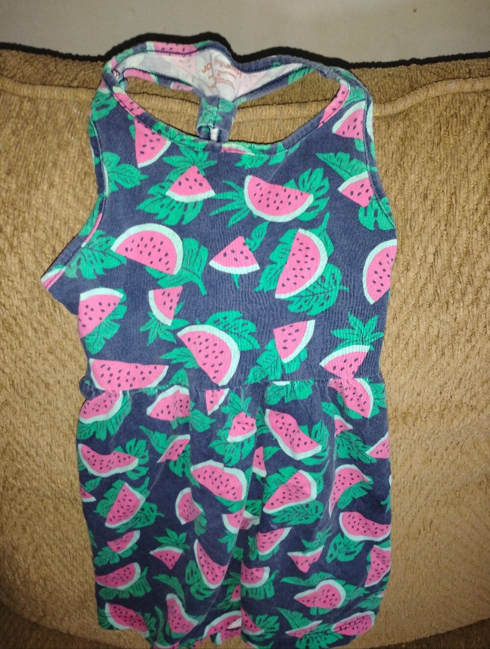 Hanes Girls' Toddler Navy Tank Top Dress with Pink and Green Watermelon Print